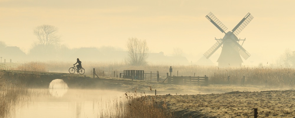 Cyclist and a foggy, spring sunrise in the Dutch countryside.